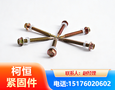 迪庆六角钻尾丝